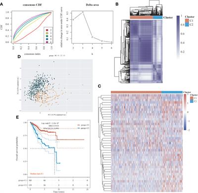 Frontiers | Reclassification Of Endometrial Cancer And Identification ...